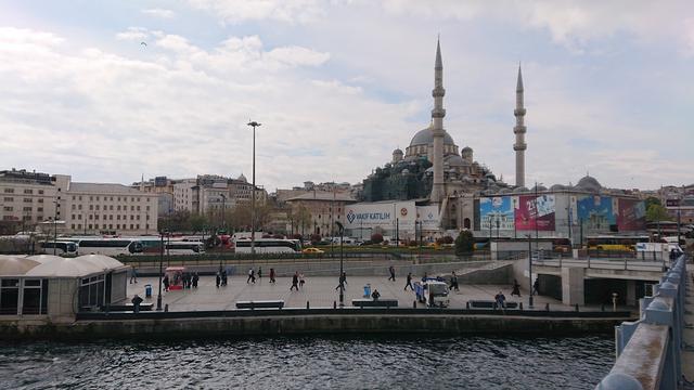 Estambul a mi aire - Blogs de Turquia - Día 2. Mezquita Azul – Mezquita de Suleiman – Mezquita Nueva – Bazar de las espe (4)