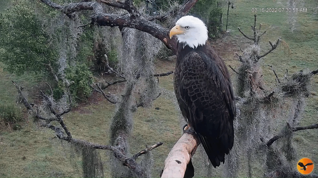 Webp.net-gifmaker (7)