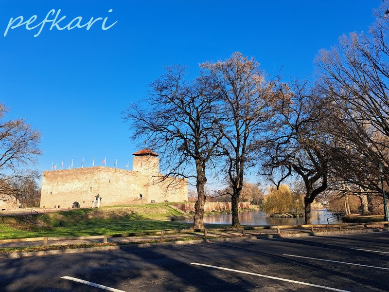 Slika