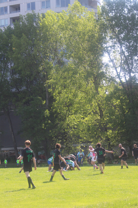 IMG-0371