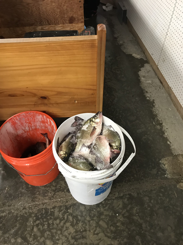 99D8B3F1-A9F5-468E-859E-4414AF4999A1