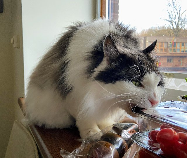 C526-F9-B0-70-FA-4-C99-9-F29-B16-C85-FE3