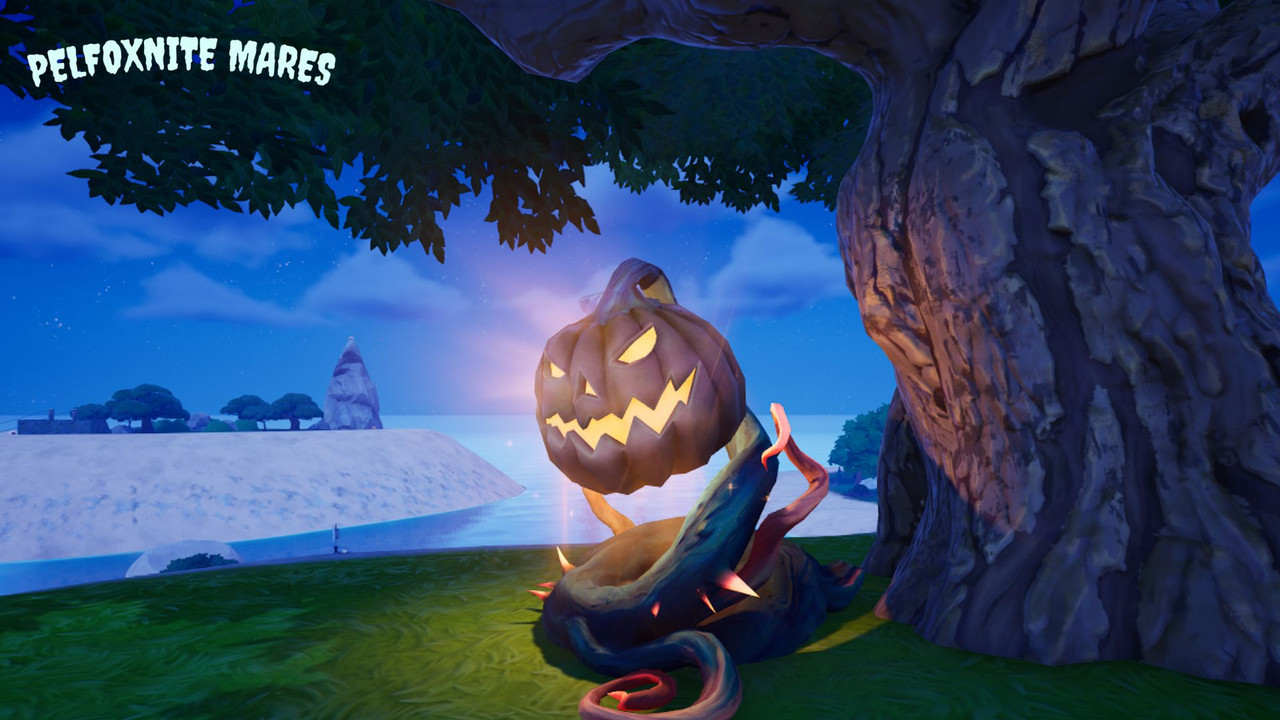 Image large sur desktop