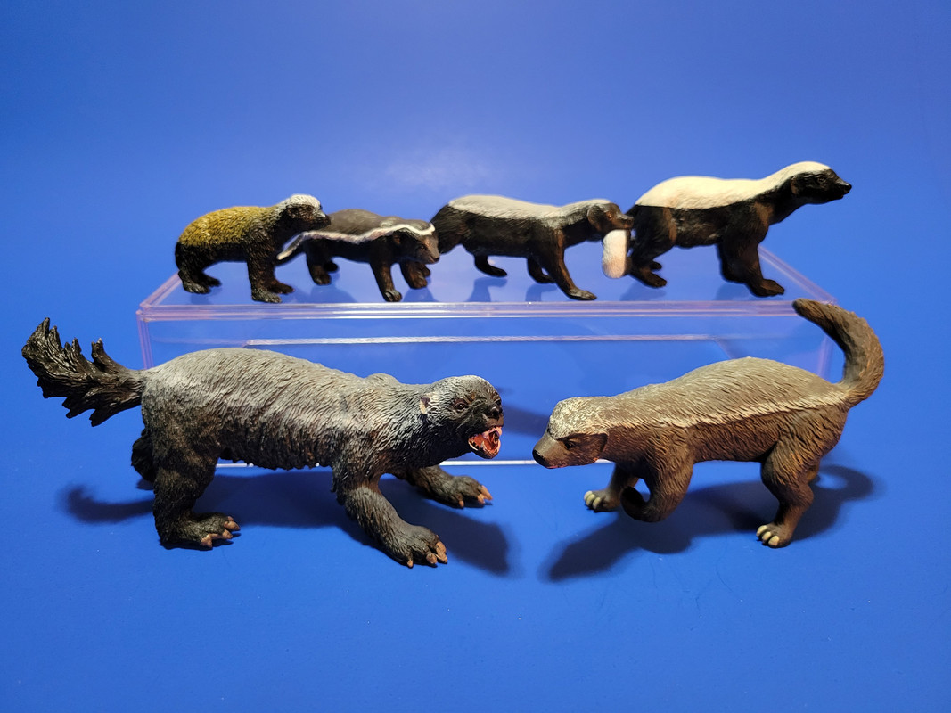 Collected Comparisons. Wolves, foxes, reindeer Page 6