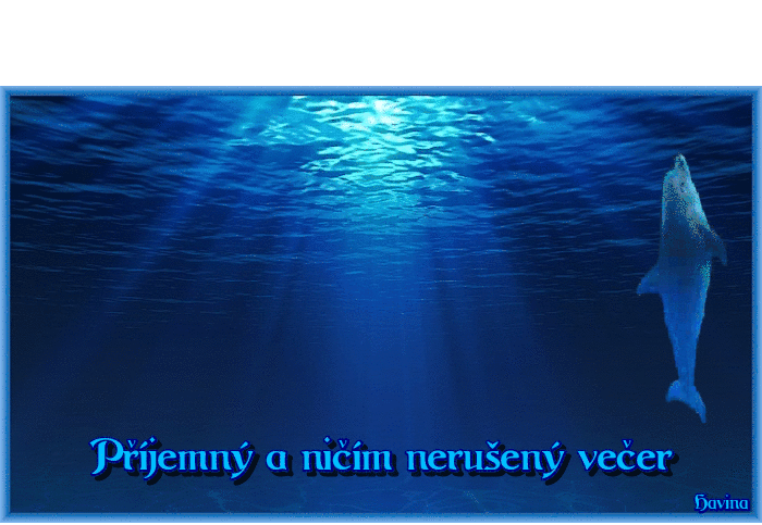 y3b-Km5-Wgqv-Gh.gif