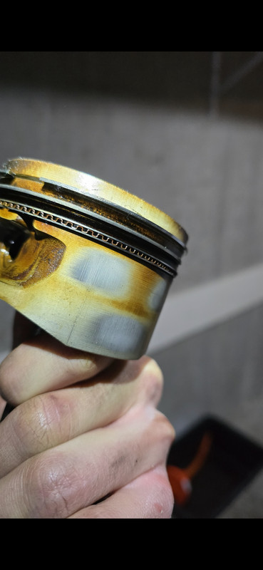 Screenshot 20260218 203754 Gallery