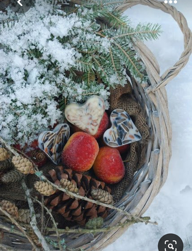 Screenshot_20230508_234407_Pinterest