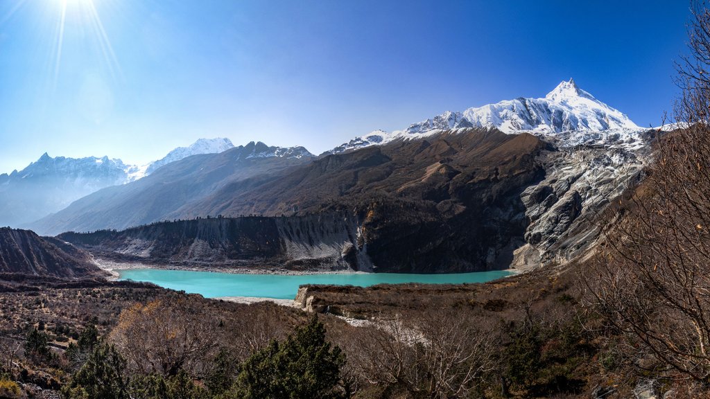 https://i.postimg.cc/Y02qZDFm/Image00491-1.jpg
