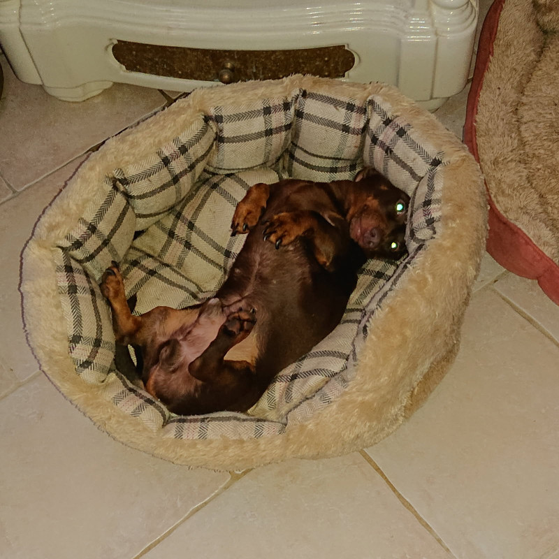 [Image: IMG-20250930-193804.jpg]