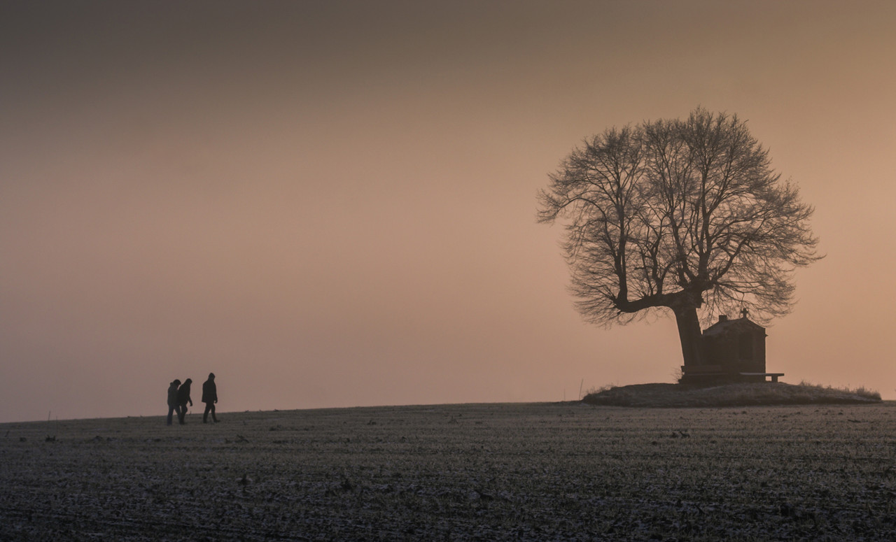 Fotografie