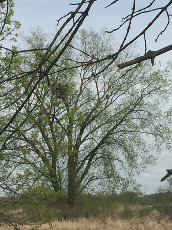 373BC317-6902-4F4C-AF67-5CE6CF0B988C