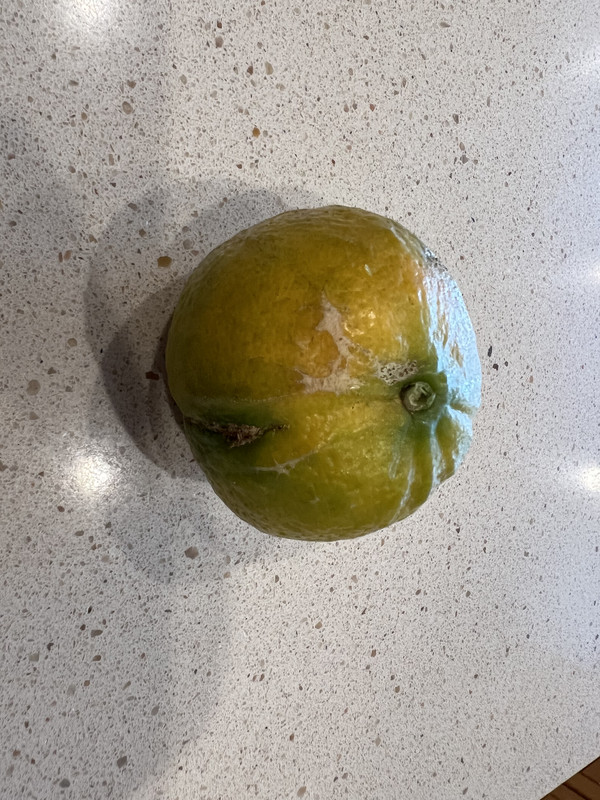 FC08B8CB-D1AA-49A0-9887-A8D8F2A16595