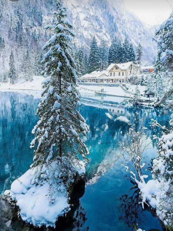 Screenshot_20231219_204018_Pinterest