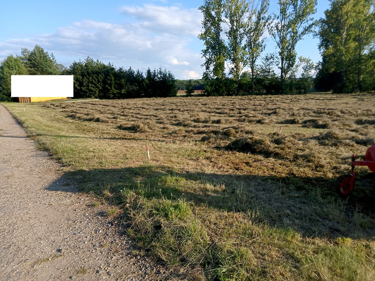 IMG 20250906 172151 MP (1)