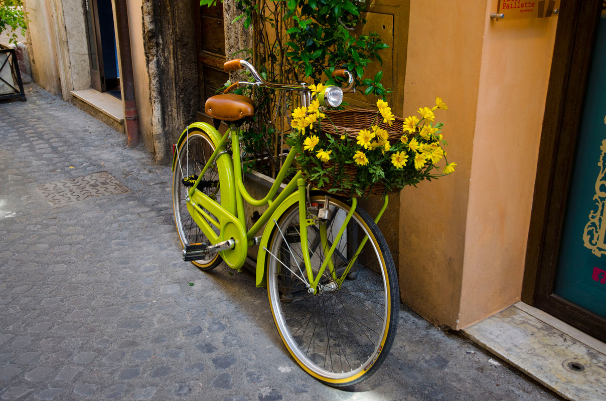 greenbikewithflowers.jpg
