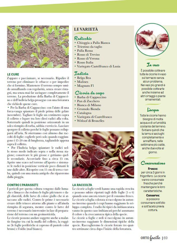 Orto Facile - Il Mio Orto Pratico - Feb-Mar 2025 (10)