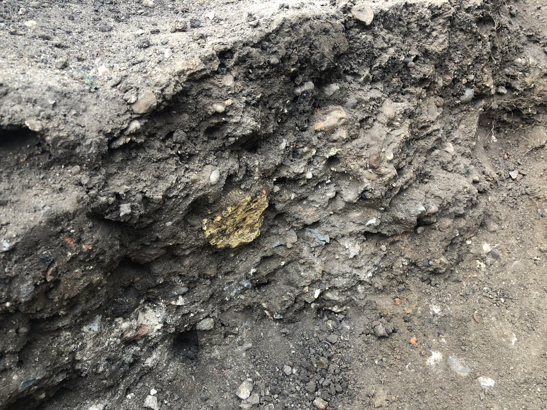 A337ACE3-589B-4C9B-8A0E-25645033E5CC