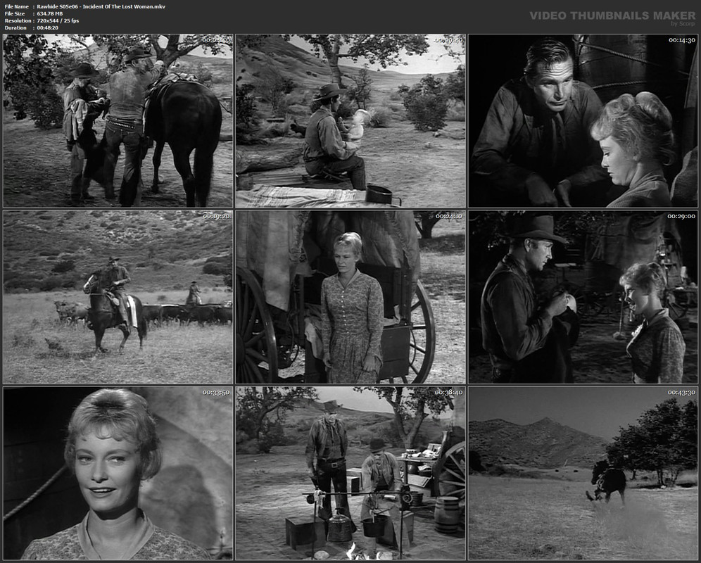 Rawhide S05e06 - Incident Of The Lost Woman.mkv