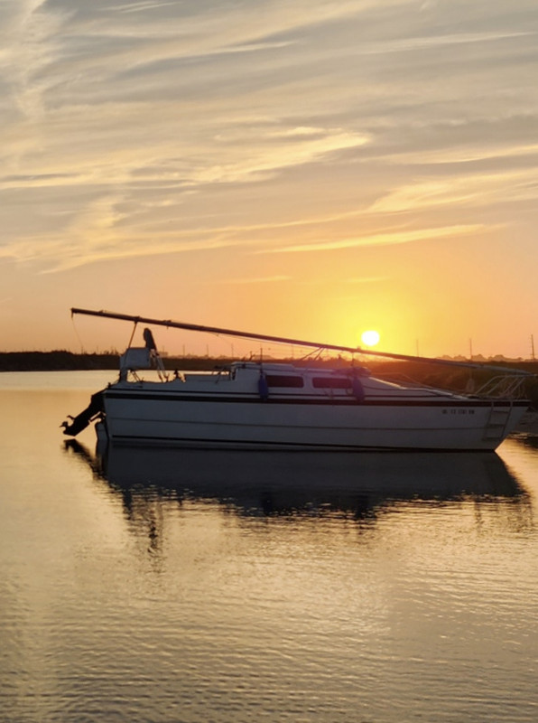 E8803B65-34A9-4ED3-A3FE-4199AE255D2D