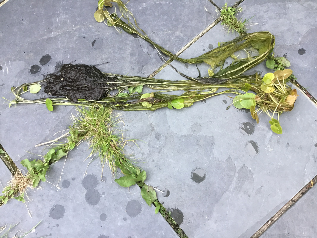 2E74F0A7-FF2D-4F9F-91A0-4E85CAD62088