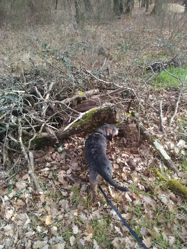 [Image: IMG-20230219-150648.jpg]