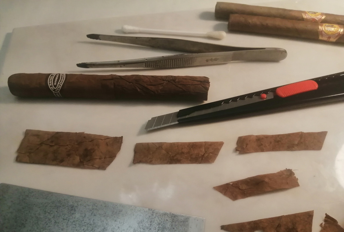 IMG_20220213_161948[1]