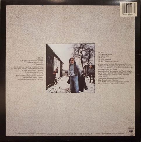 David Gilmour - David Gilmour (1978) [Vinyl Rip 1/5.64] DSD | DSF + MP3