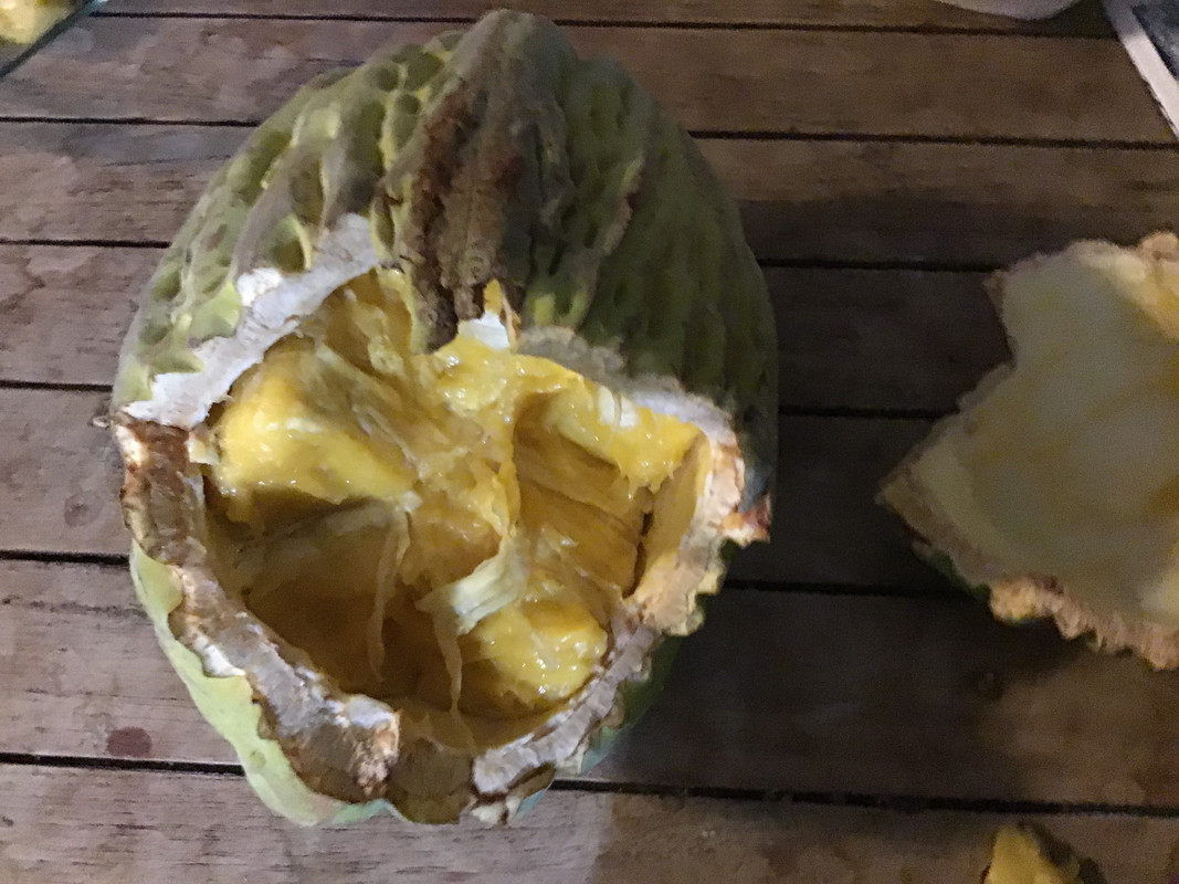 78F48195-D100-4F50-80B3-C8826A71E53A