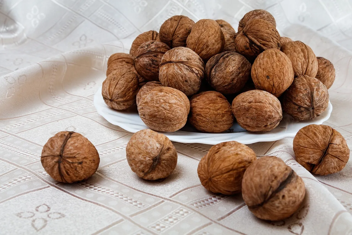 ¿Qué le pasa a tu cuerpo si comes nueces? Esto han revelado los estudios