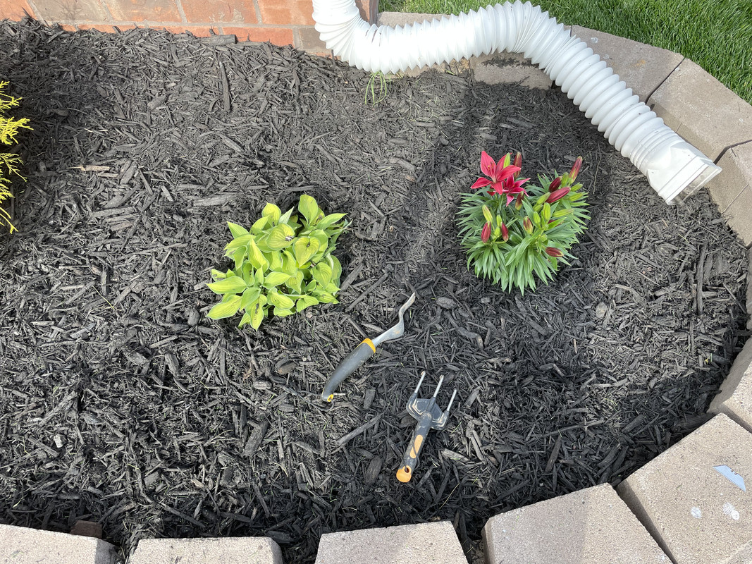 64632C2E-DF31-489A-B8FD-547421D1BB23