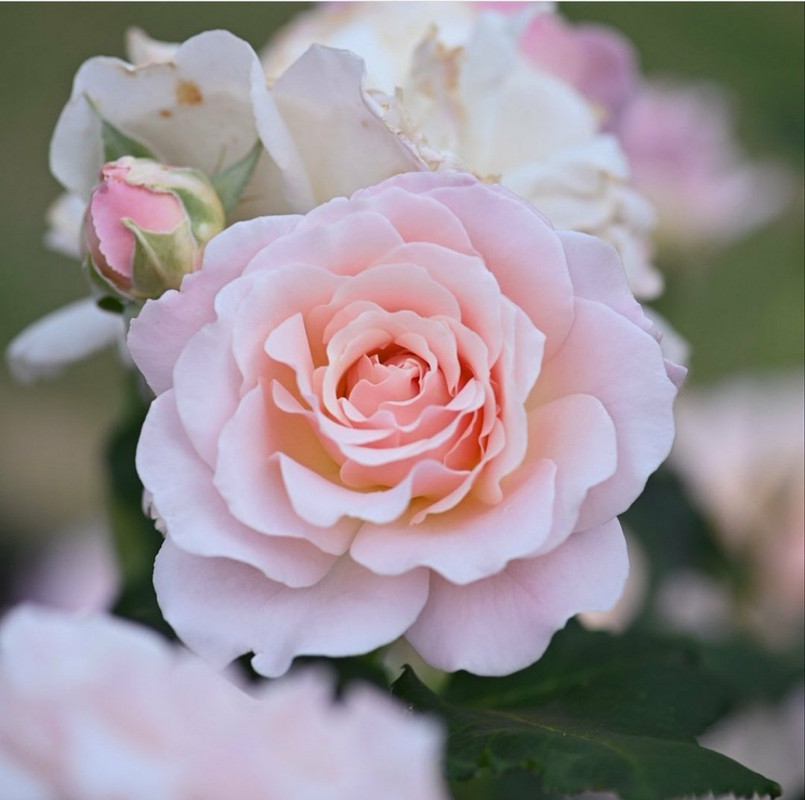 ٢٠٢١٠٦١٠_٠٢٤٩١٧