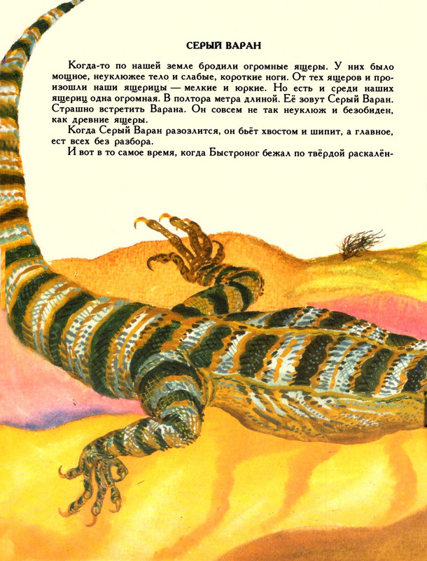 Romanova-Natala-Jashherica-bez-khvosta-page-0023