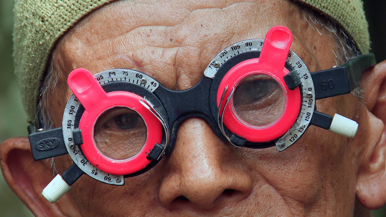 The Look of Silence (2014) (1080p BluRay x265 Silence)-2