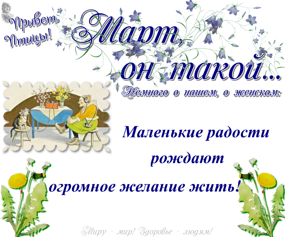 https://i.postimg.cc/Y05xVgHX/06-03.png