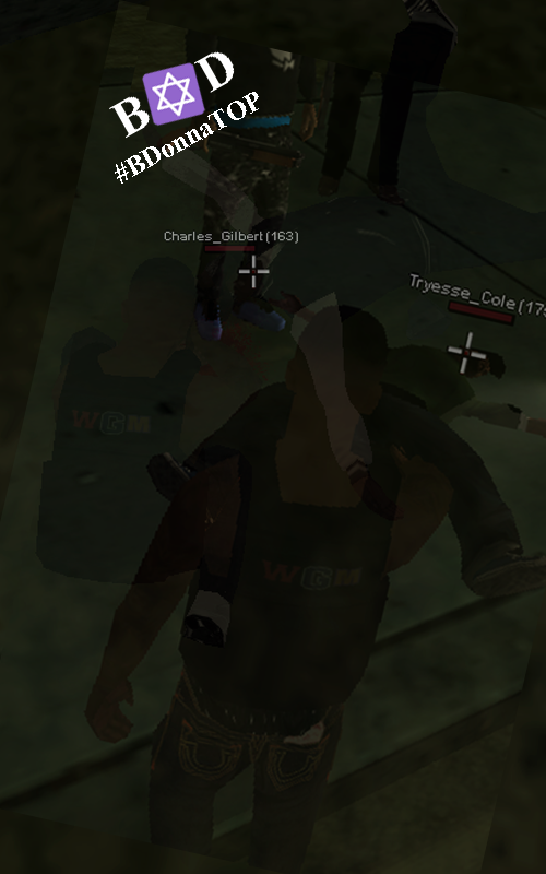 a6.png