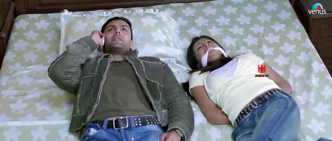 Geeta Basra 3 - The Train 2007