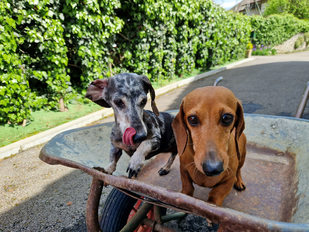 [Image: 20240505-144428.jpg]