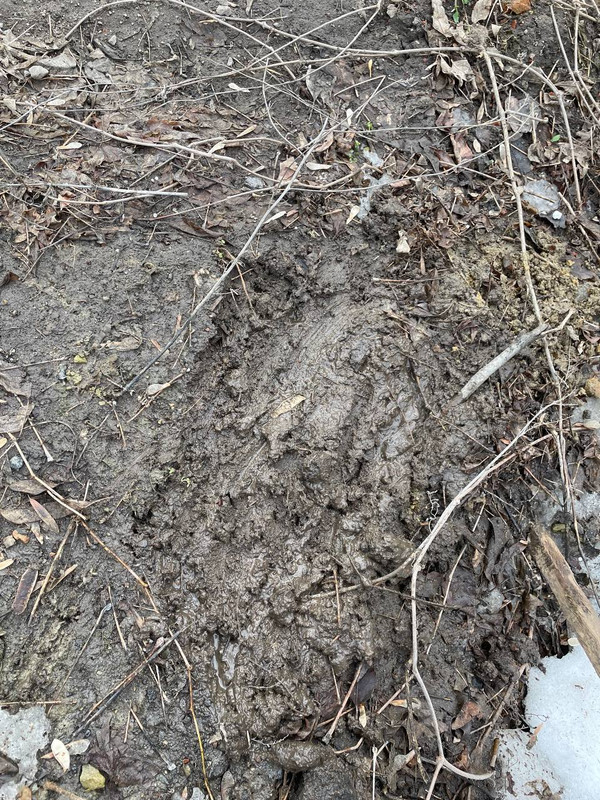 23233860-7B64-4C99-9221-18E079A7D46E