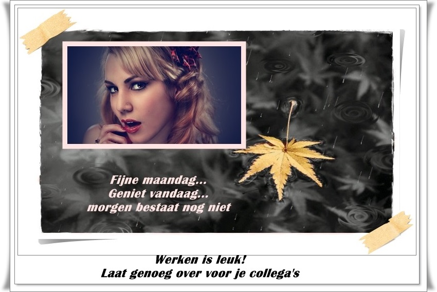welkom opblog Bunic Jos