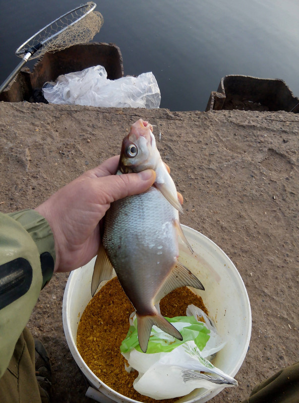 Н. Муллы 13.06.2016 01
