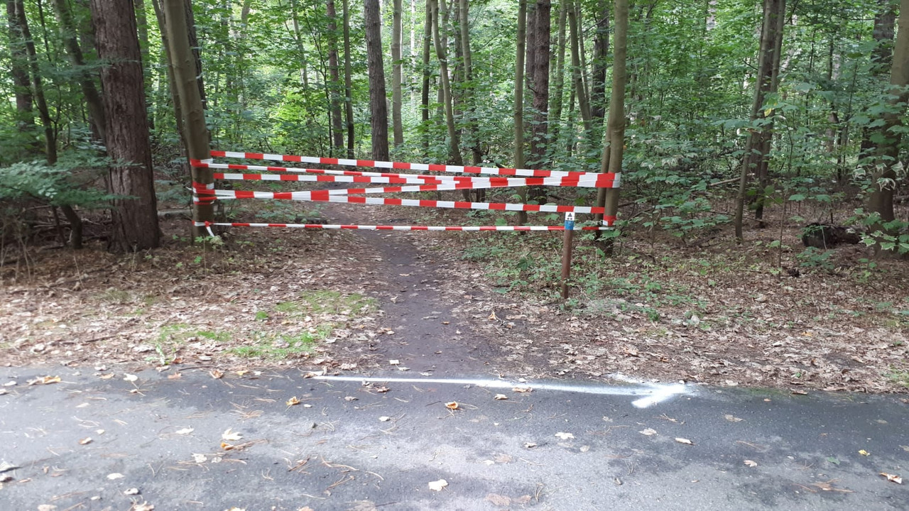 IMG-20180910-WA0009