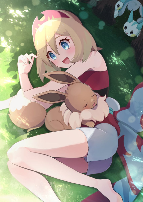 eevee-irida-and-pachirisu-pokemon-and-1-