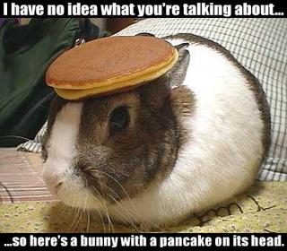 bunnywitpancakeonead