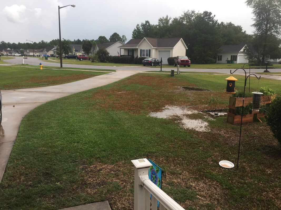 Front after 0.86" rain, 7/9/17