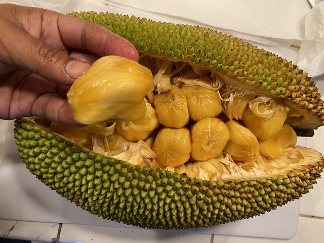 3CE77FD7-61C8-4242-B4A3-F585DE9D7039