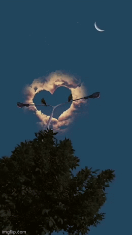 ���� ���� ������ �� ���� ������