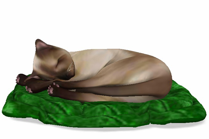 brown-cat-green-blanket0