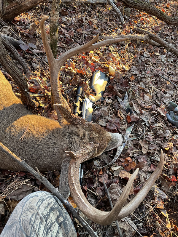 0A4B2A1C-190B-4A9F-95A2-9AEAD140F860