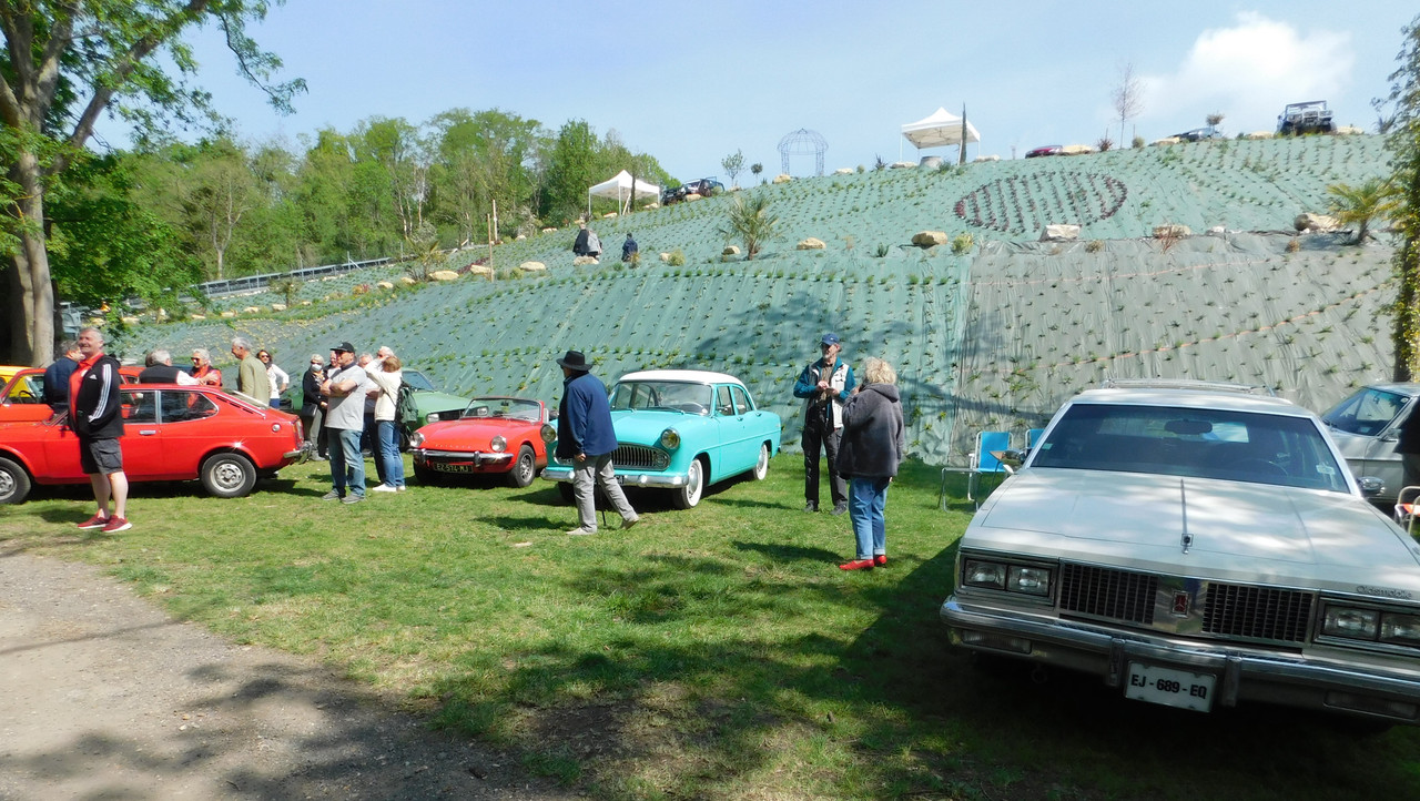 DSCN0181