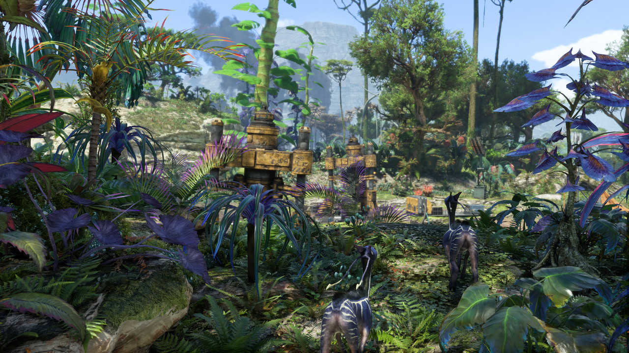 afop 2026 01 10 03 28 06 131